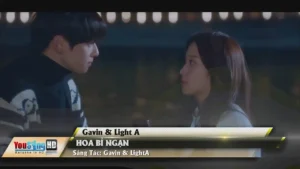 Hoa Bỉ Ngạn – Gavin & Light A