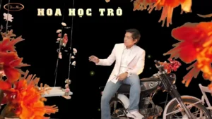 Hoa Học Trò – Tâm Đoan & Tiến Dũng