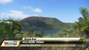 Hoa Hồng Trắng – Khánh Đơn