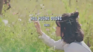 Hoa Hướng DƯơng – GMEZ