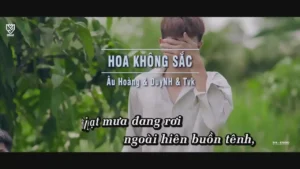 Hoa Không Sắc – Âu Hoàng & DuyNH & TVK