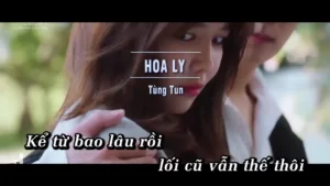 Hoa Ly – Tùng Tun