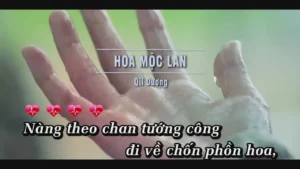 Hoa Mộc Lan – Qil Dương