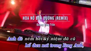 Hoa Nở Bên Đường (Remix) – Quang Đăng Trần