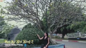 Hoa Sứ Nhà Nàng 2 – Kim Thoa