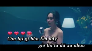 Hoa Tàn – Lý Thu Thảo