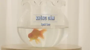 Không Dám – Link Lee