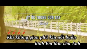 Ký Ức Trong Cơn Say – Harris N