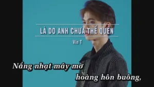 Là Do Anh Chưa Thể Quên – Vin T