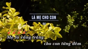 Là Mẹ Cho Con – Aki