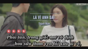 Là Vì Anh Sai – Thành Nam