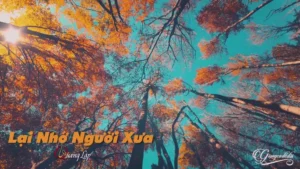 Lại Nhớ Người Xưa – Quang Lập