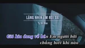 Lặng Nhìn Em Rời Xa – Ty An Bảo