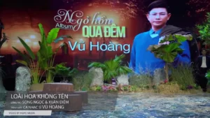 Loài Hoa Không Tên – Vũ Hoàng