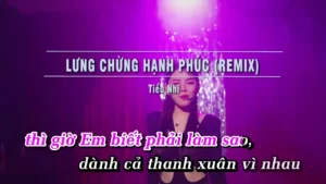 Lưng Chừng Hạnh Phúc (Remix) – Tiểu Nhi