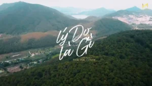 Lý Do Là Gì – Thái Học