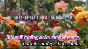 Mashup Say Tình & Hoa Hồng Đêm – Hà Nhi