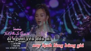 Mashup Tình Như Lá Bay Xa & Nhớ Về Em (Remix) – Lâm Triệu Minh