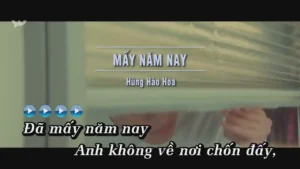 Mấy Năm Nay – Hùng Hào Hoa