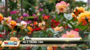 Mẹ Ở Trong Tâm – Randy