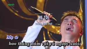 Mẹ Tôi – Dương Ngọc Thái