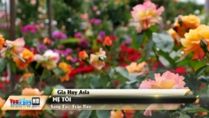 Mẹ Tôi – Gia Huy Asia