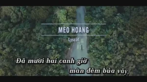 Mèo Hoang – Lyscat