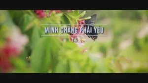 Mình Chẳng Phải Yêu – T A