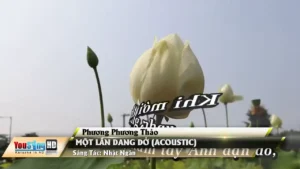 Một Lần Dang Dở (Acoustic) – Phương Phương Thảo