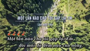 Một Lần Nào Cho Tôi Gặp Lại Em – Lâm Nhật Tiến