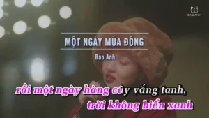 Một Ngày Mùa Đông – Bảo Anh