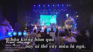 Mùa Hoa Tuyết – Vũ Hoàng