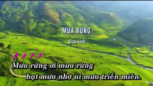 Mưa Rừng – Giao Linh