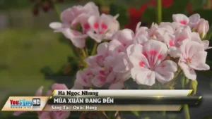 Mùa Xuân Đang Đến – Hà Ngọc Nhung