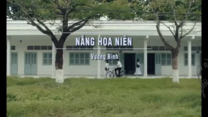 Nắng Hoa Niên – Vương Bình