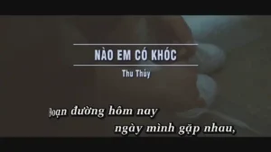 Nào Em Có Khóc – Thu Thủy