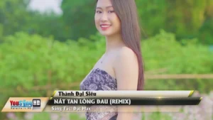 Nát Tan Lòng Đau (Remix) – Thành Đại Siêu