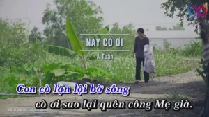 Này Cò Ơi – A Tuân