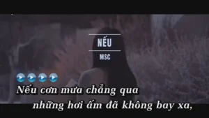 Nếu – MSC