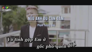 Nếu Anh Đủ Can Đảm – Phạm Tường Quý