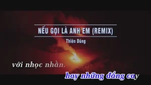 Nếu Gọi Là Anh Em (Remix) – Thiên Dũng