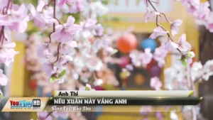 Nếu Xuân Này Vắng Anh – Anh Thi