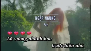 Ngập Ngừng – Pay