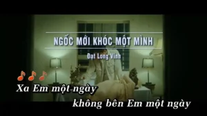 Ngốc Mới Khóc Một Mình – Đạt Long Vinh