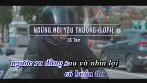 Ngừng Nói Yêu Thương (Lofi) – DC Tâm