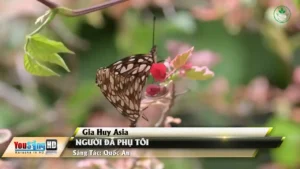 Người Đã Phụ Tôi – Gia Huy Asia