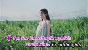 Người Ta Đâu Thương Em – Anh Tú & Lyly