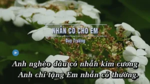 Nhẫn Cỏ Cho Em – Duy Trường