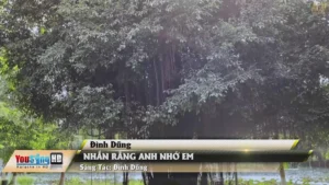 Nhắn Rằng Anh Nhớ Em – Đình Dũng