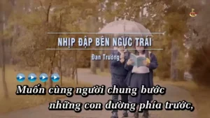 Nhịp Đập Bên Ngực Trái – Đan Trường